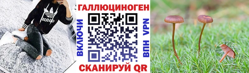 Псилоцибиновые грибы Psilocybine cubensis  Купить  Среднеуральск 